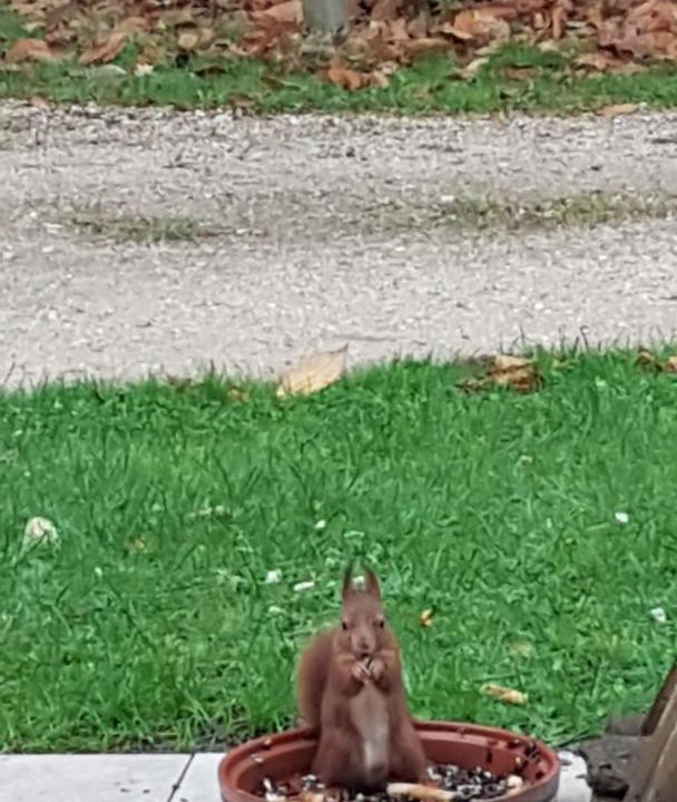 Photo of Others in Vouzon