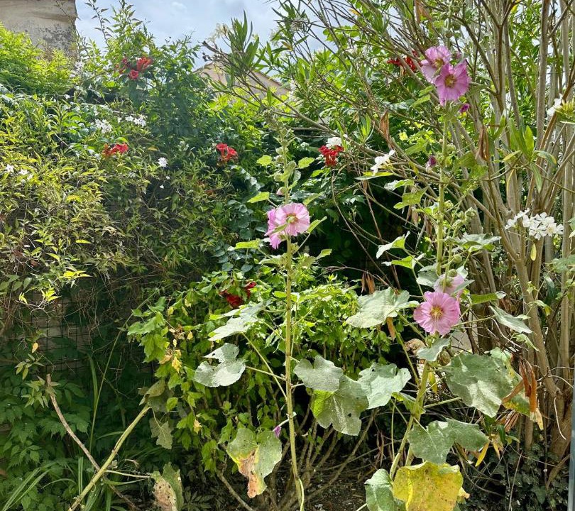 Photo of Outdoor in Bourcefranc-le-Chapus