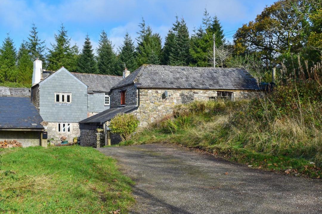 Photo of Others in Mary Tavy