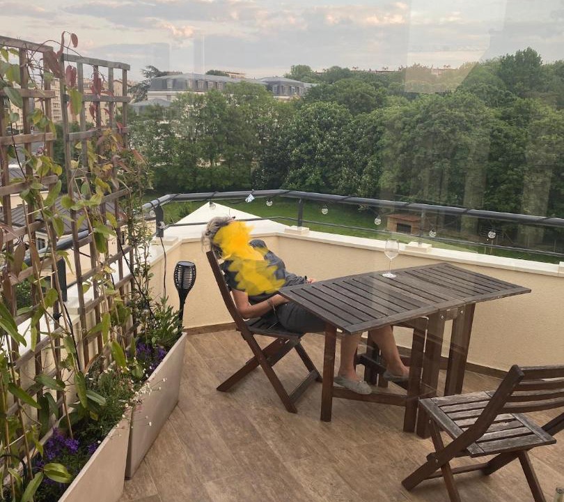 Photo of Patio Balcony in Issy-les-Moulineaux