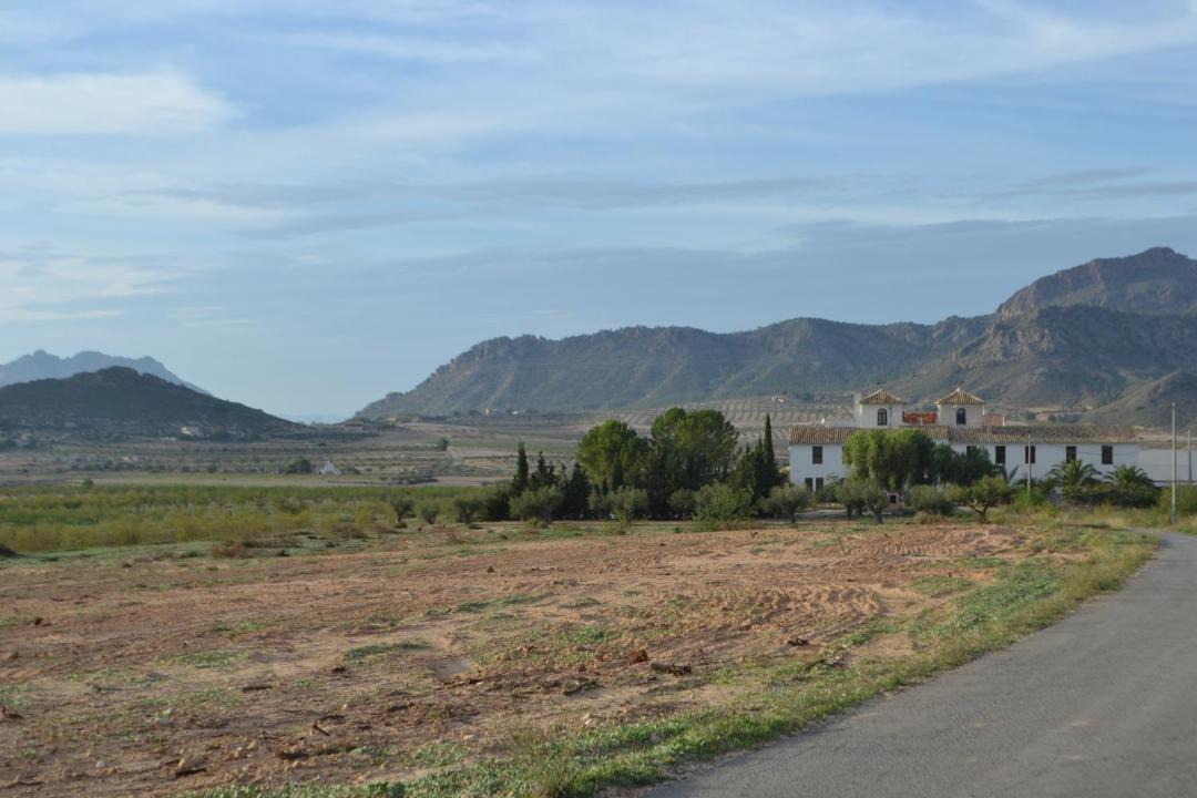 Photo of Others in La Bermeja