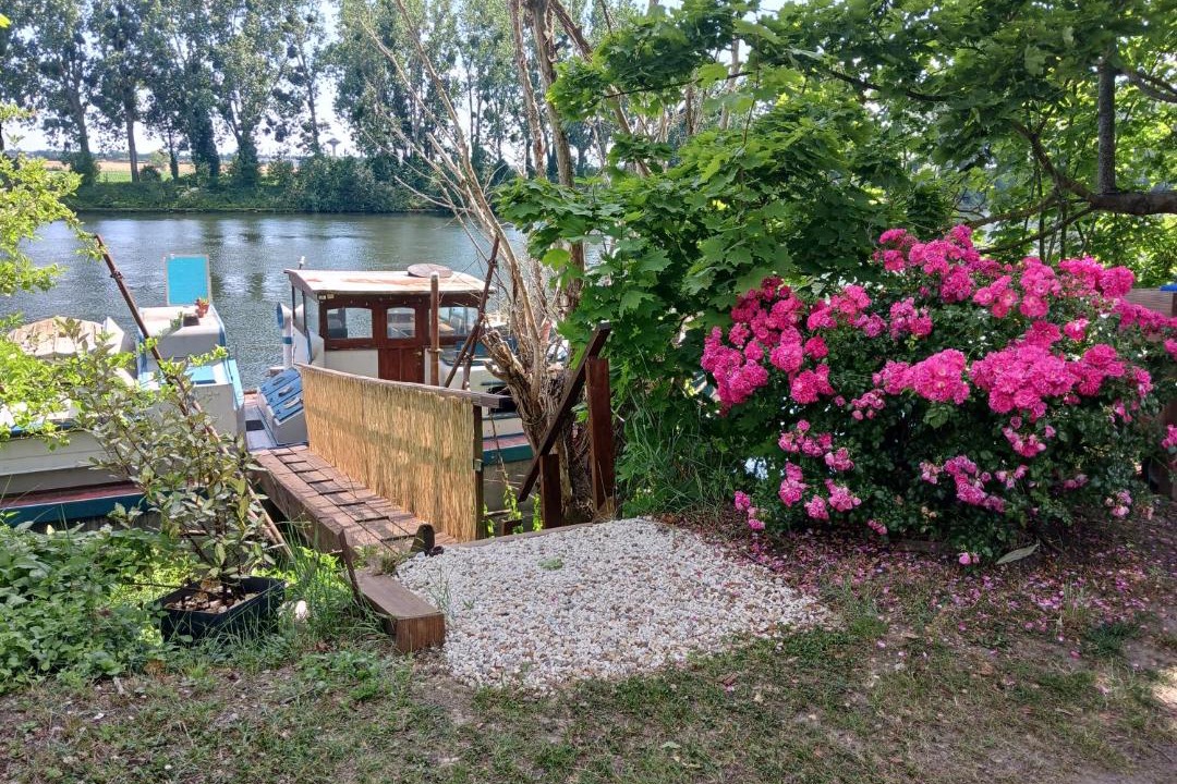 Photo of Others in Conflans-Sainte-Honorine