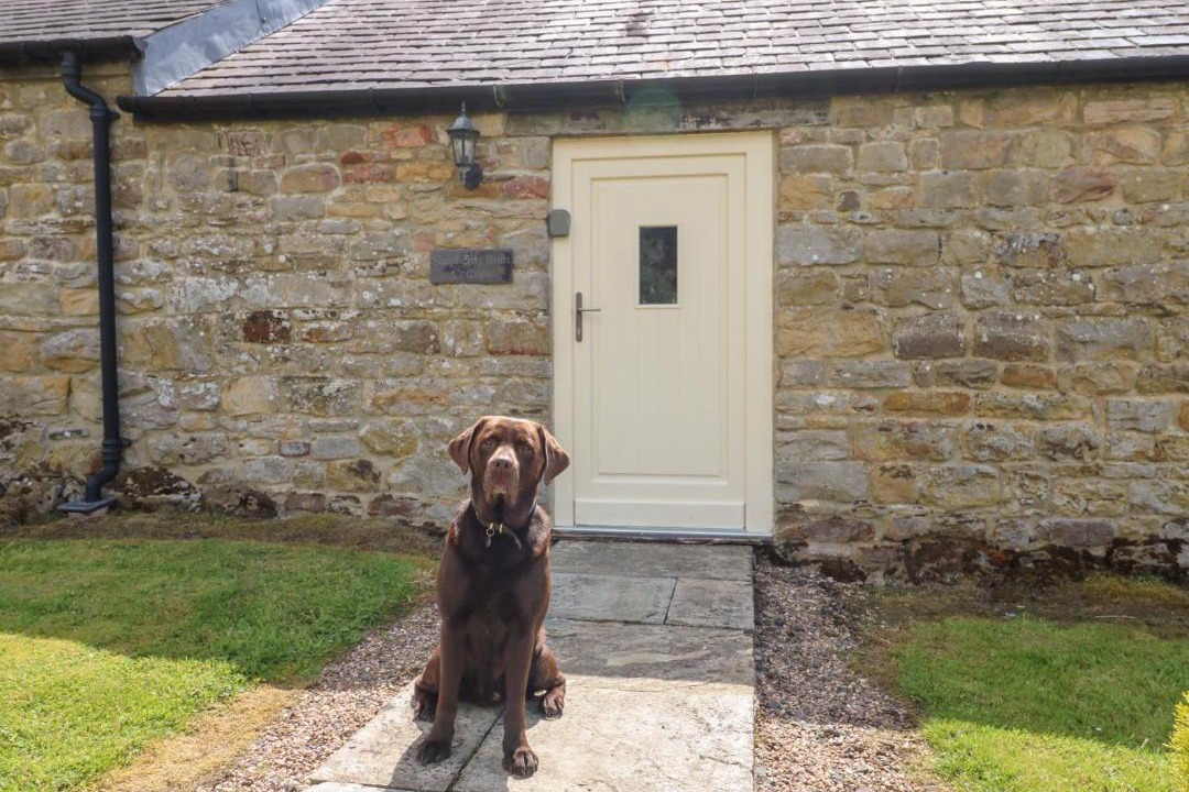 Photo of Others in Hexham