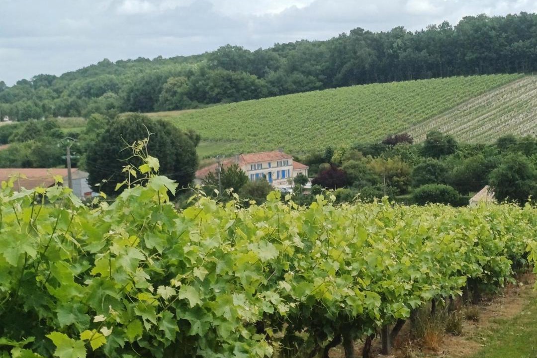 Photo of Others in Montchaude