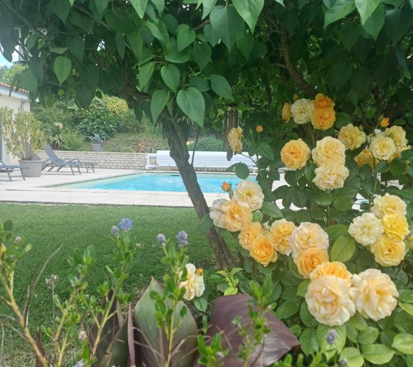 Photo of Others in Montchaude