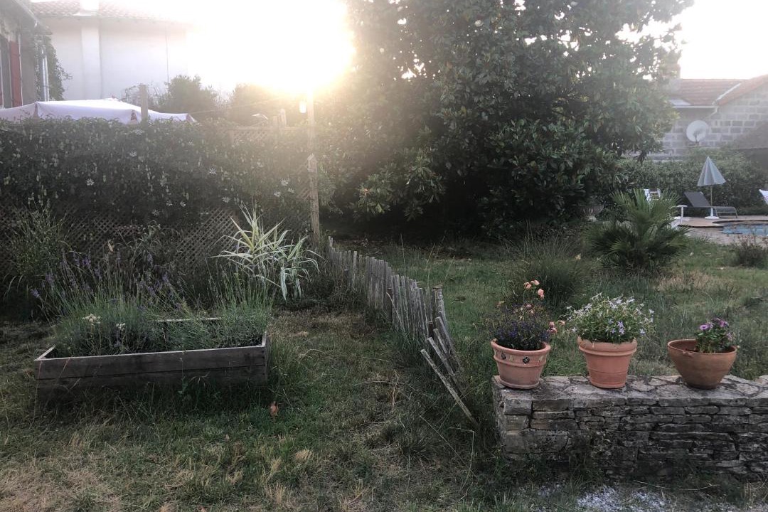 Photo of Others in Rion-des-Landes