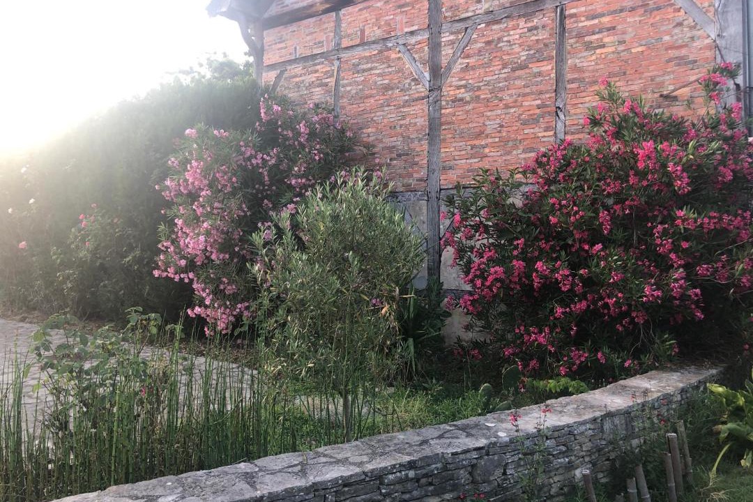 Photo of Others in Rion-des-Landes