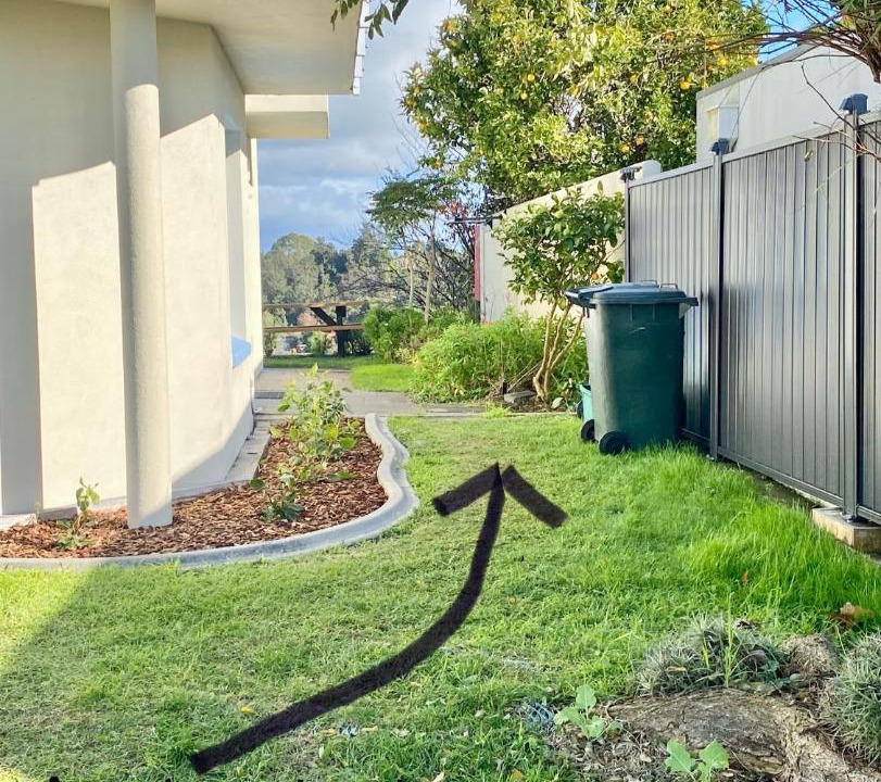 Photo of Others in Whakatane