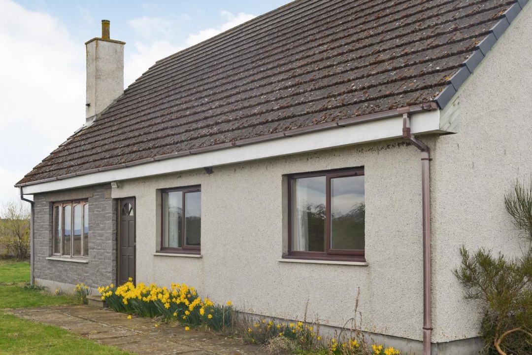 Photo of Others in Tain