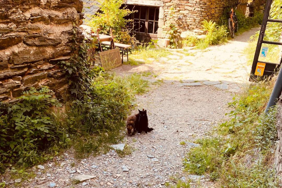 Photo of Others in Vialas