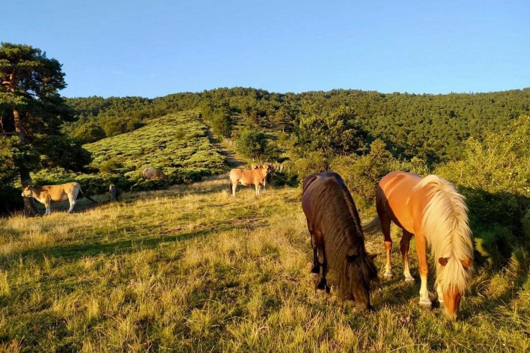 Photo of Others in Vialas