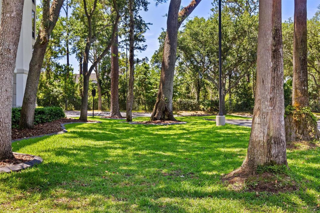 Photo of Others in Jacksonville Beach