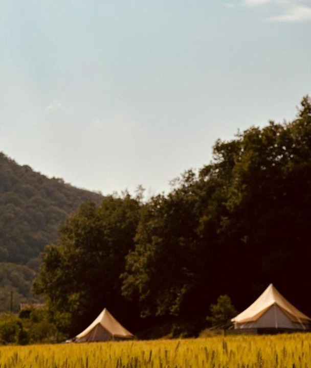 Photo of Others in Combret