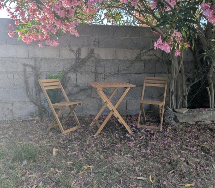 Photo of Others in Palavas-les-Flots