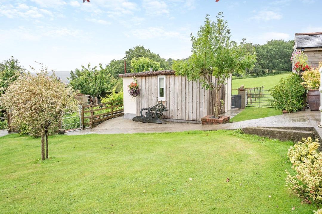 Photo of Others in Mawr