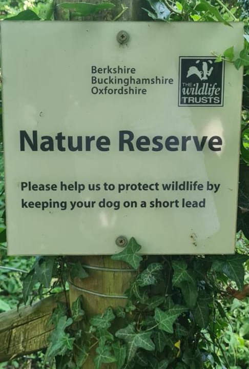 Photo of Outdoor in High Wycombe