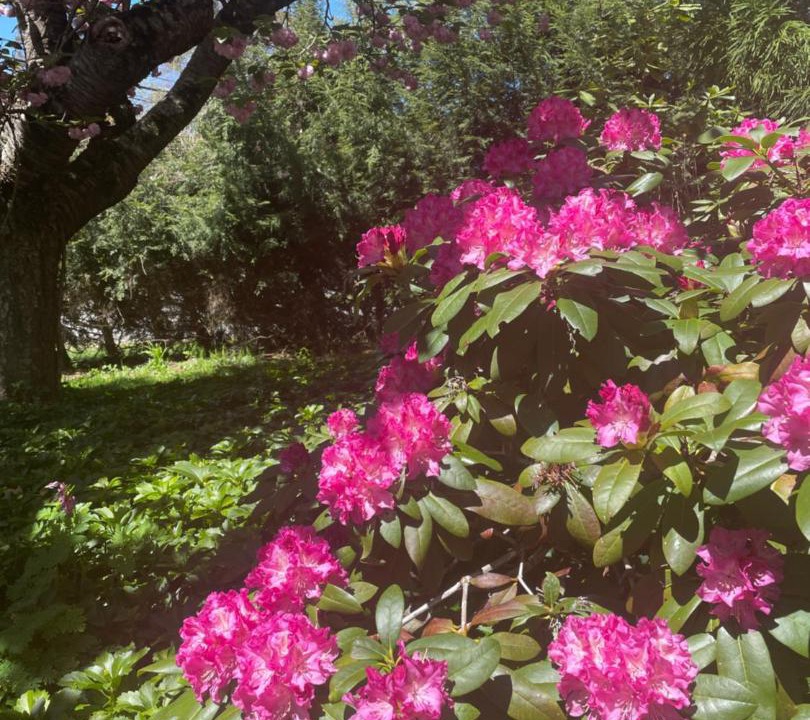 Photo of Outdoor in Andover