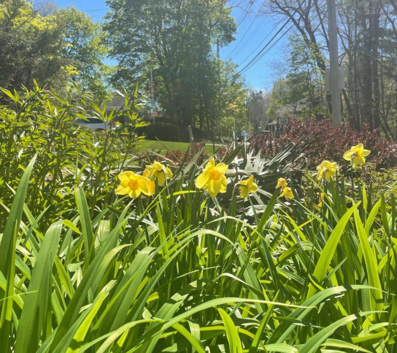 Photo of Outdoor in Andover