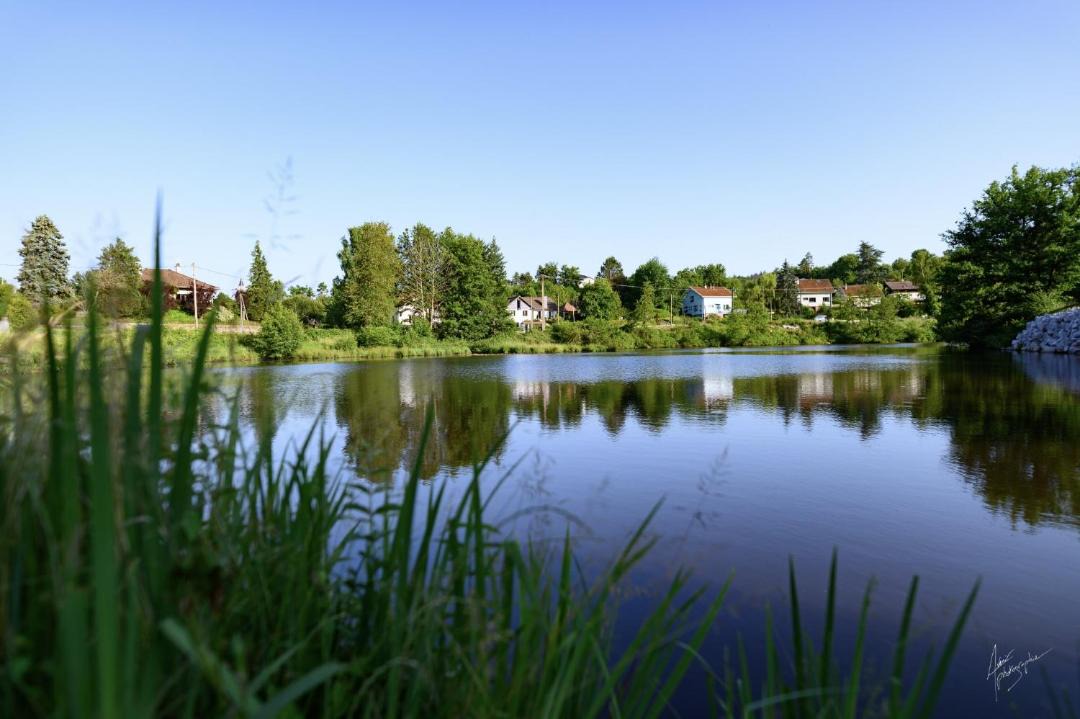 Photo of Others in Epinal