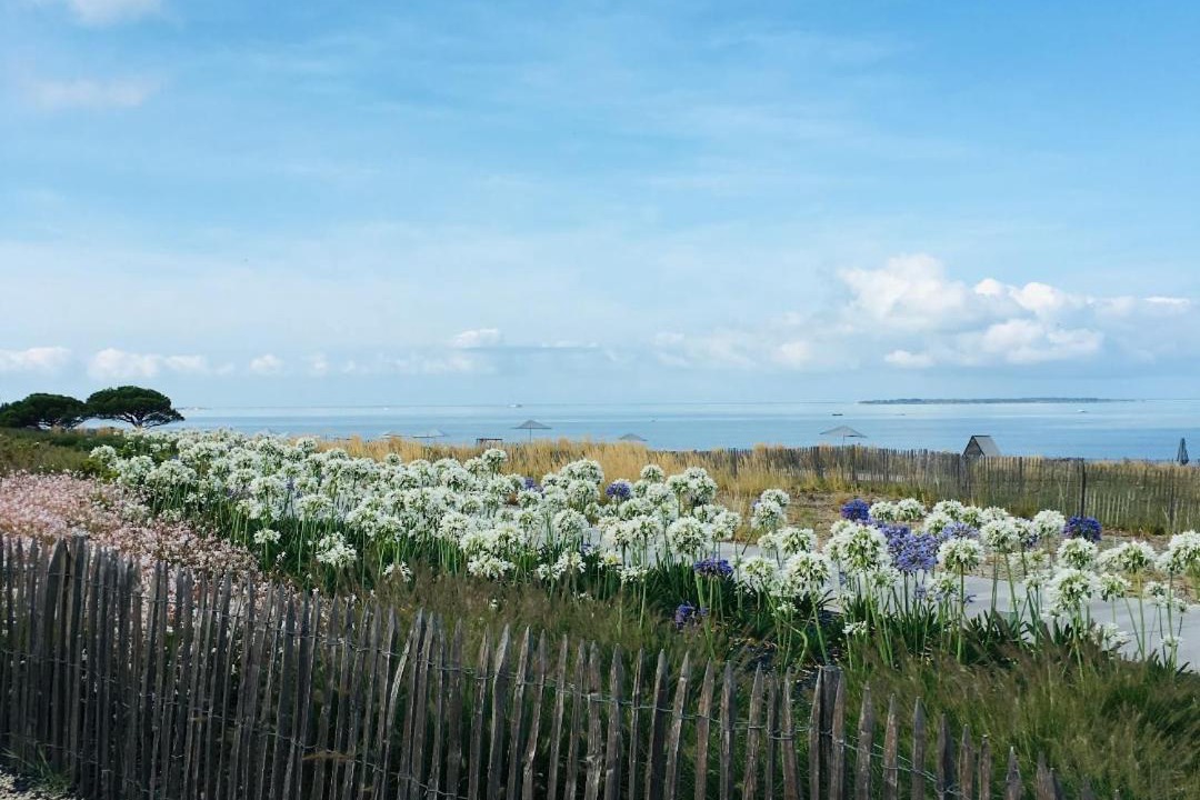 Photo of Others in Quartier du Casino