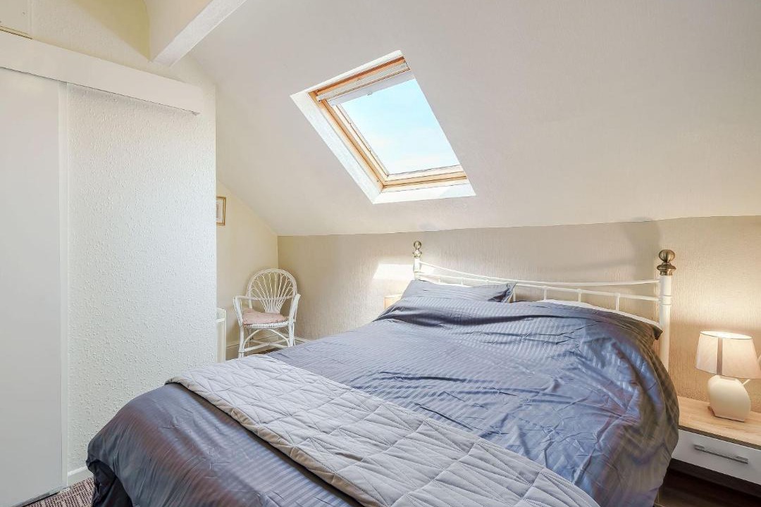 Photo of Others in South Shore