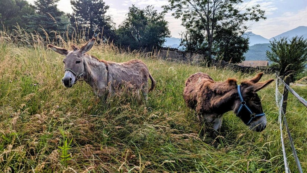 Photo of Others in Aspres-sur-Buech