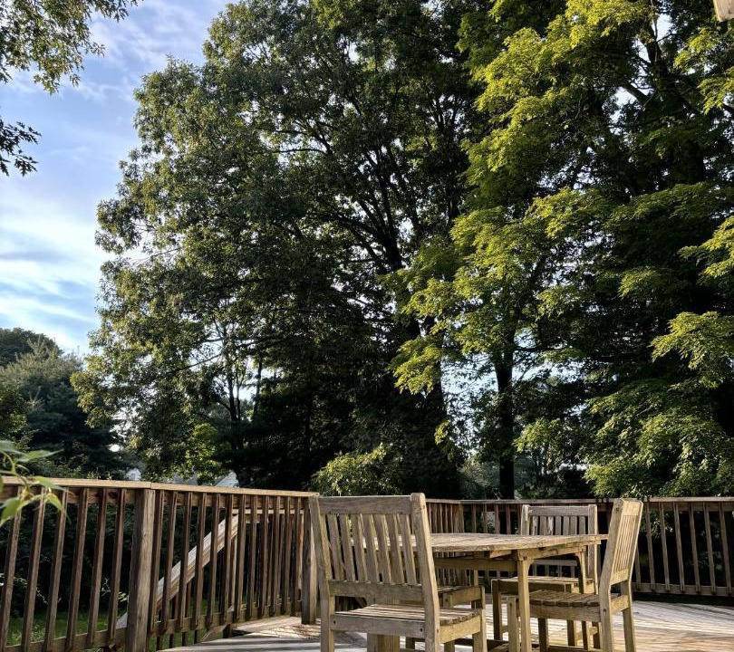 Photo of Others in Saugerties South