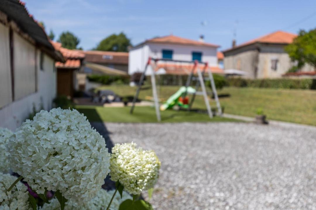 Photo of Others in Toulouzette