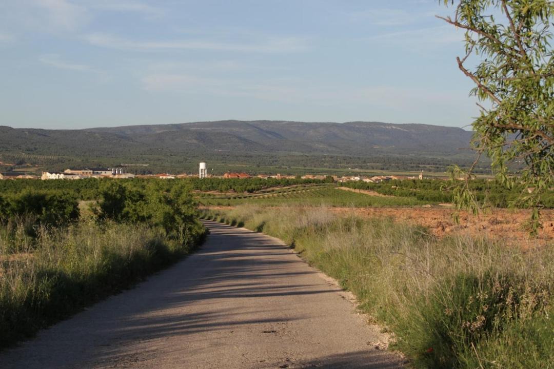 Photo of Others in Utiel