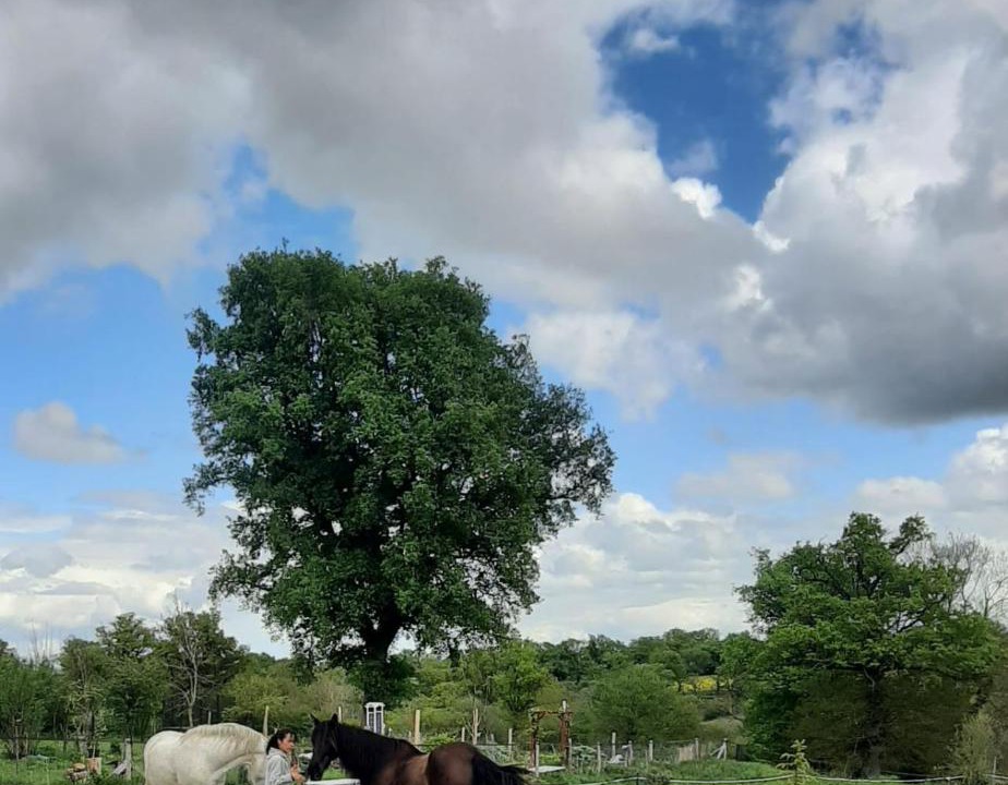 Photo of Others in Brigueil-le-Chantre