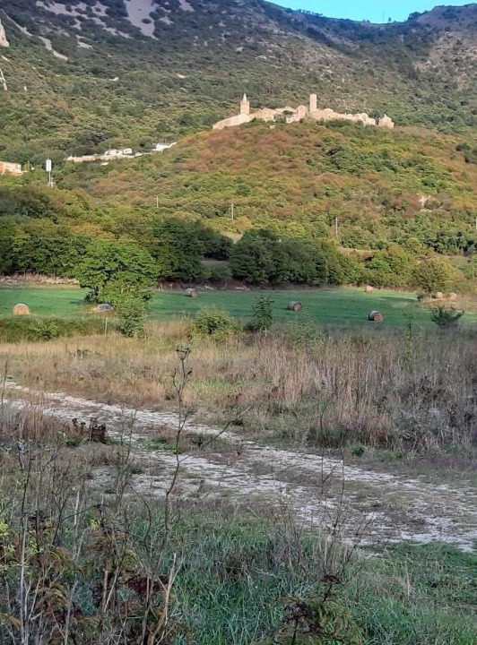 Photo of Others in Plomin