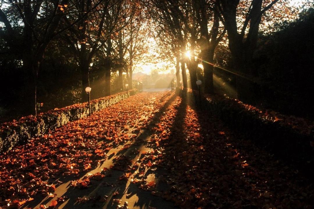 Photo of Others in Haumoana