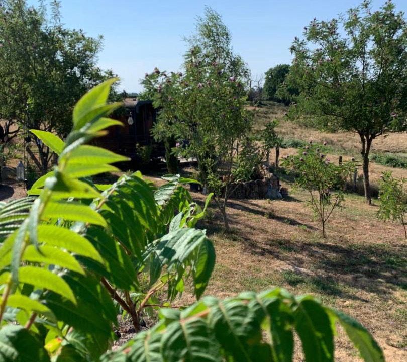 Photo of Others in Saint-Agnan