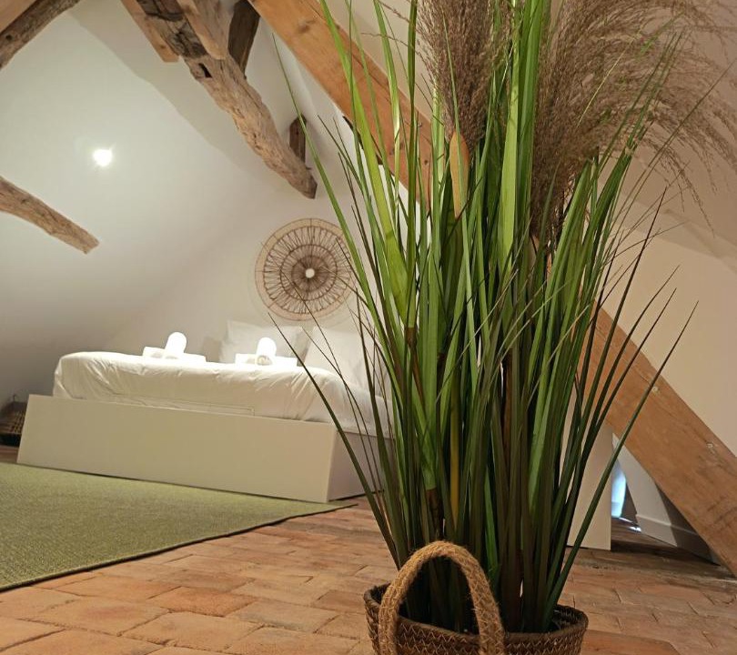 Photo of Others in Cande-sur-Beuvron