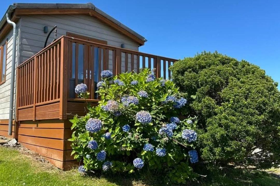 Photo of Others in Rhyd-y-clafdy