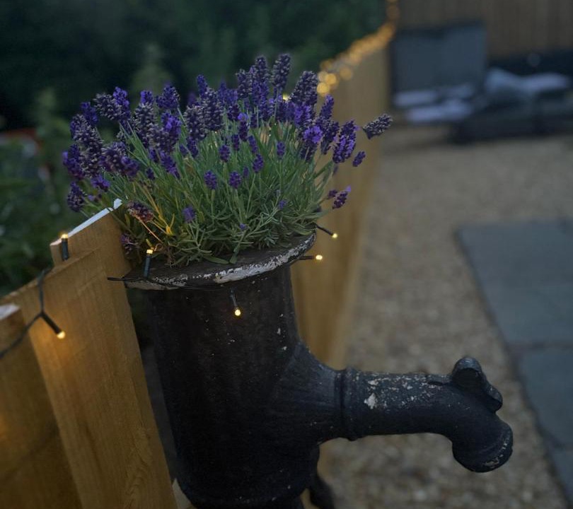 Photo of Others in Winterbourne