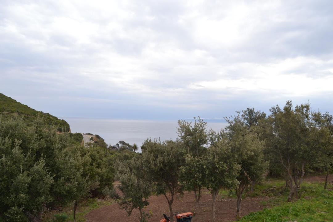 Photo of Others in Tomino