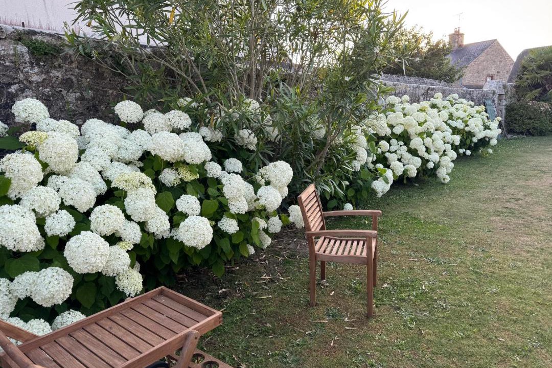 Photo of Others in Barfleur