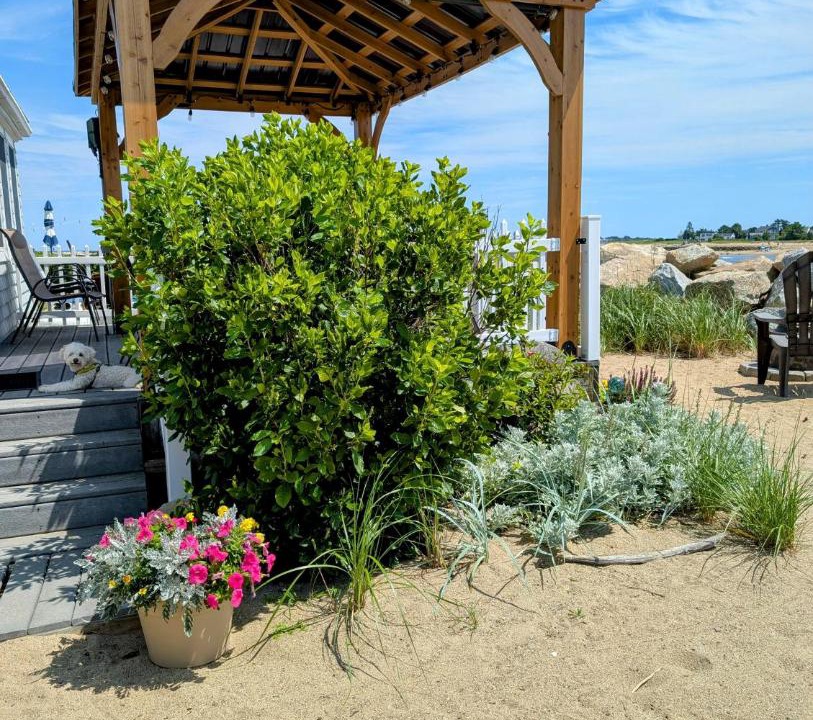 Photo of Others in Camp Ellis