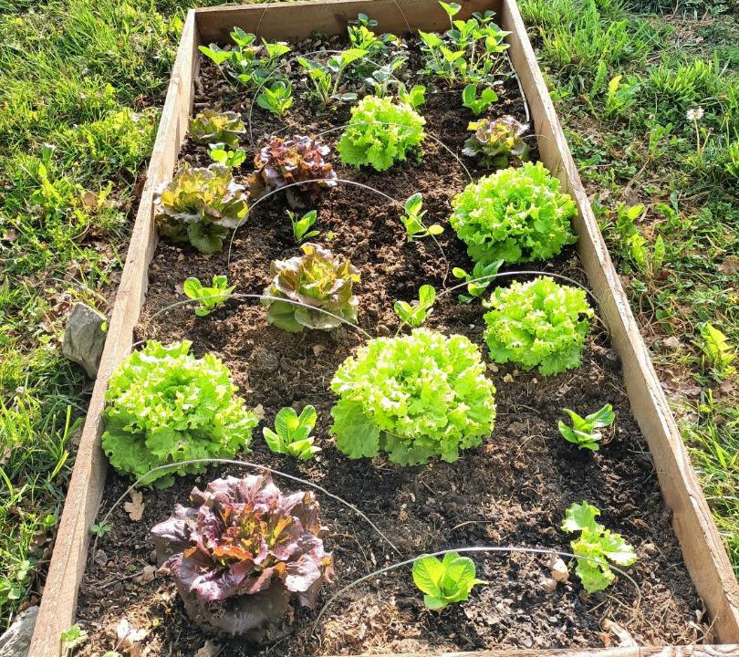 Photo of Outdoor in Montastruc-de-Salies