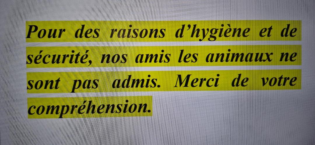 Photo of Others in Sancergues
