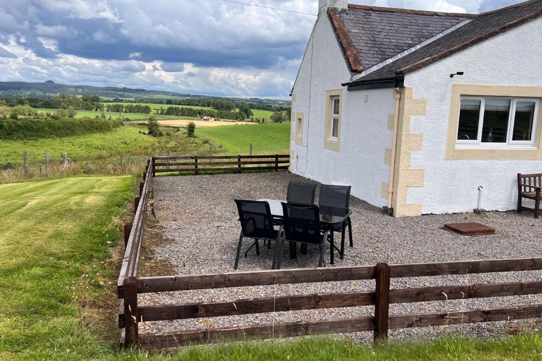 Photo of Others in Newbridge