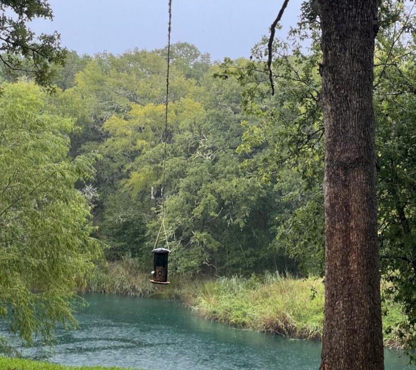 Photo of Others in Bastrop