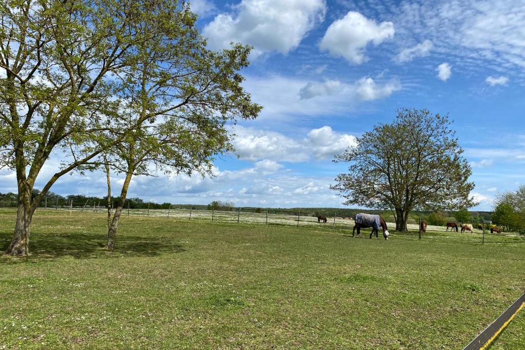 Photo of Others in Chanceaux-sur-Choisille