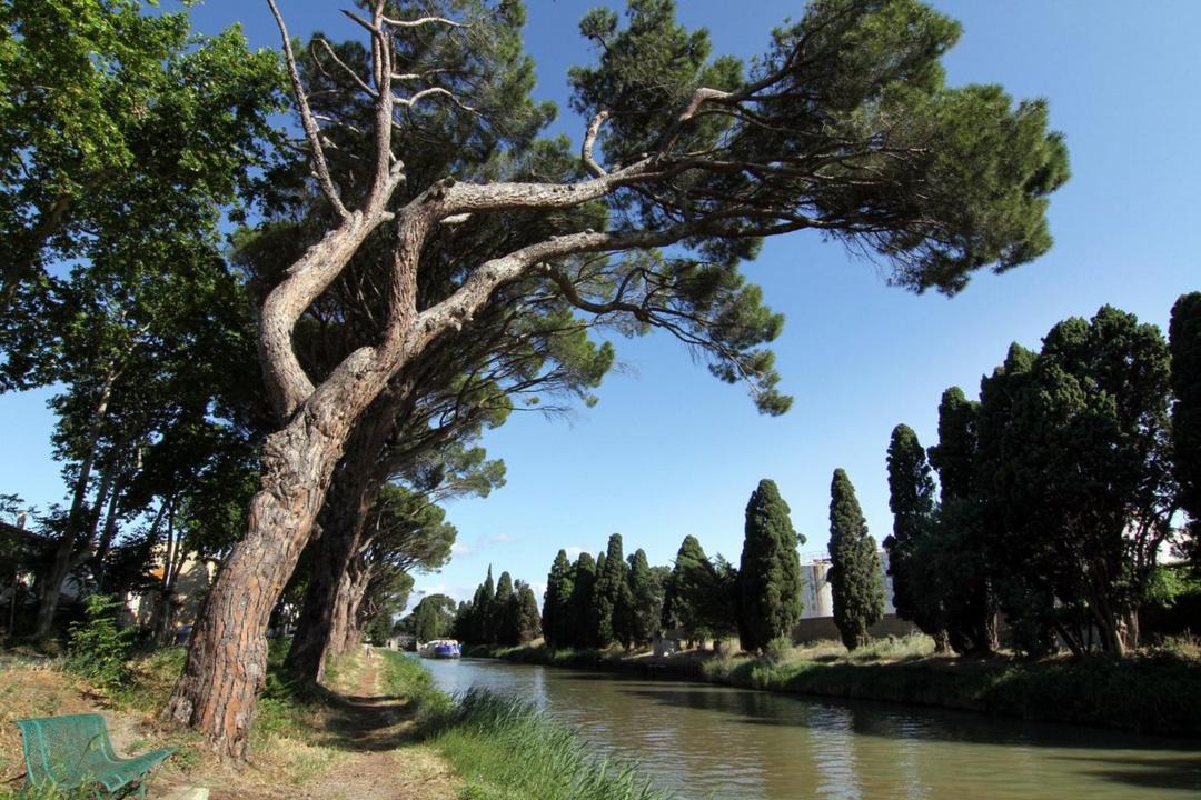 Photo of Others in Salleles-d'Aude