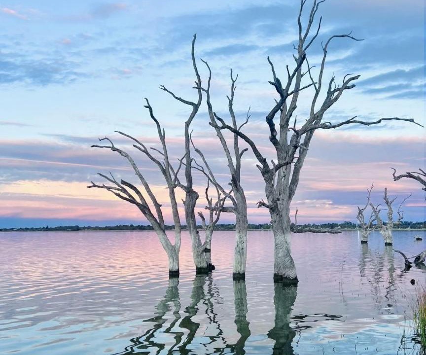 Photo of Others in Barmera