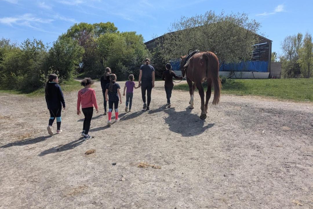 Photo of Others in Chanceaux-sur-Choisille