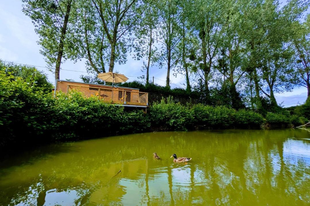 Photo of Others in Litteau