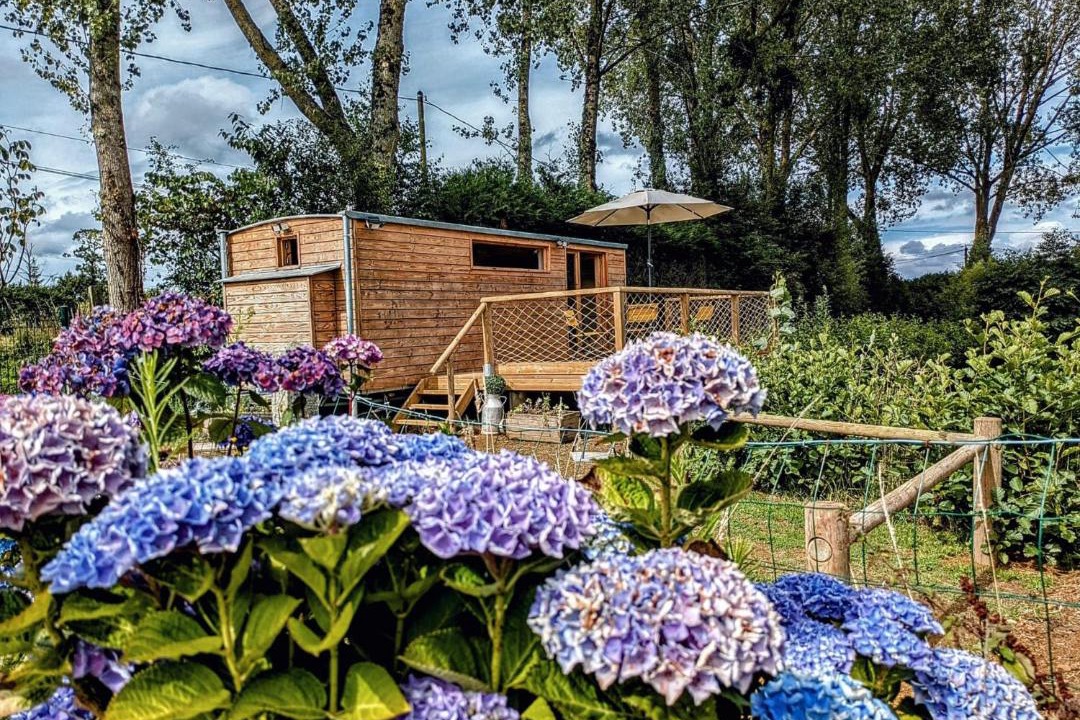 Photo of Others in Litteau