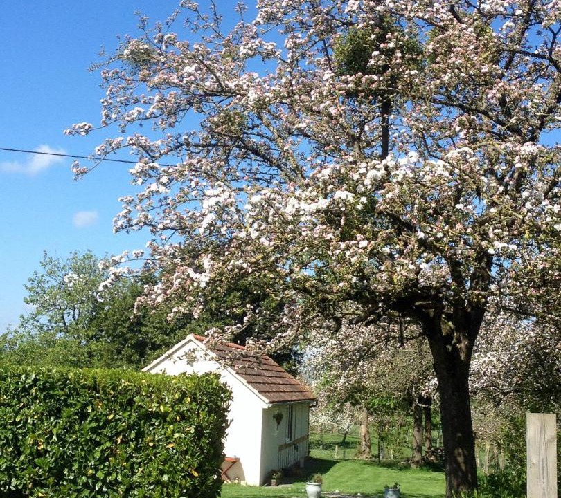 Photo of Others in Romagny-Fontenay